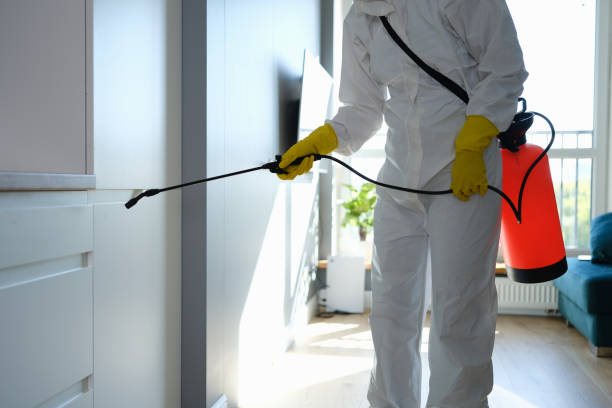 Best Commercial Mold Removal  in Hooks, TX